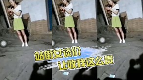 国产视频站街女谈价